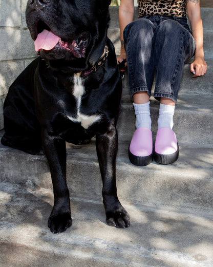 V3372L Pink Leather Viva Mondo Creeper Clog Pink T.U.K. Shoes